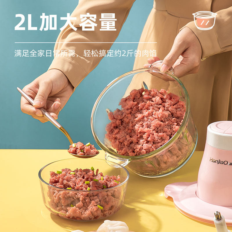 汉佳欧斯多功能家用小型电动绞肉机 楚湘电器绞肉/碎肉/绞菜机