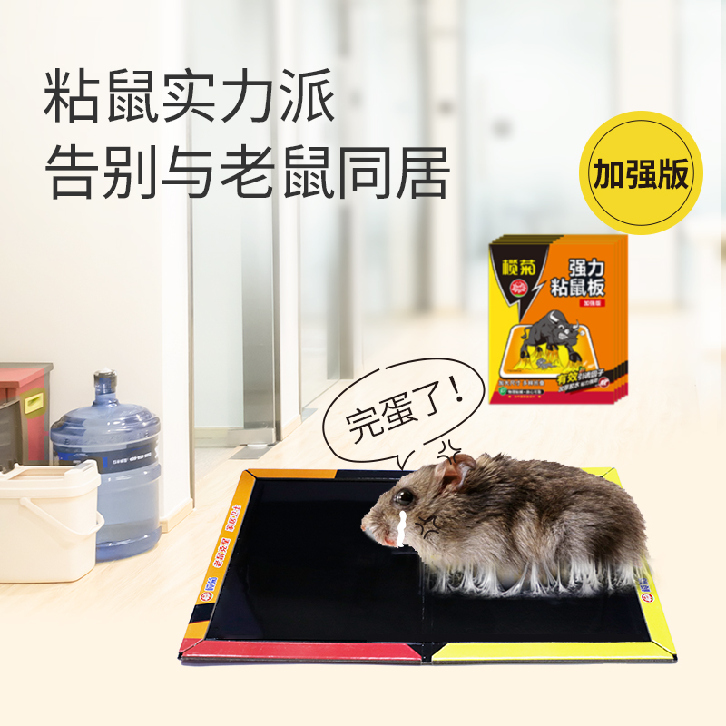 榄菊粘鼠板强力胶粘大老鼠家用老鼠贴老鼠粘强力粘鼠板超强加大