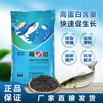 Cain Huijiafactory Seawater Fish Feed Bass special stock (Sink Water) Marine Fish Fish Grain 20kg
