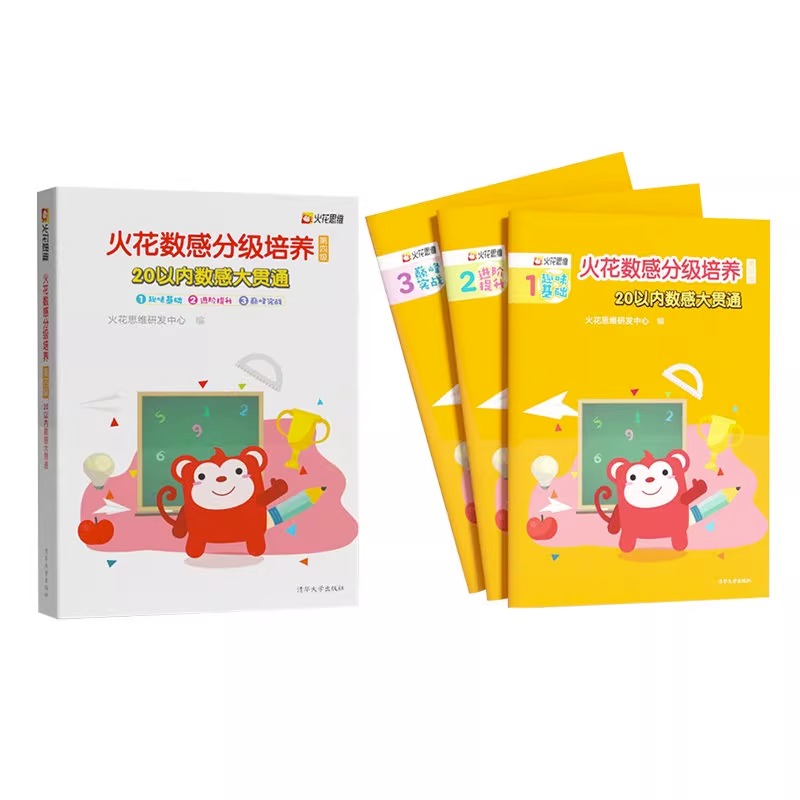 火花数感分级培养1-5级 全5册6-12岁儿童数学启蒙书籍 幼小衔接整合教材 一年级小学入学准备幼儿园数学加减法练习册 火花思维研发