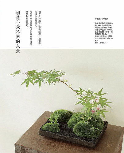 玩苔藓 六大名师教你手制苔藓球和苔藓小景 苔藓微景观 苔藓盆景制作教程书籍 苔藓球制作与养护 多肉植物花草盆苔藓新视界 - 图0