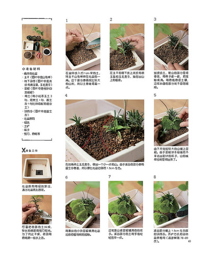 玩苔藓 六大名师教你手制苔藓球和苔藓小景 苔藓微景观 苔藓盆景制作教程书籍 苔藓球制作与养护 多肉植物花草盆苔藓新视界 - 图2