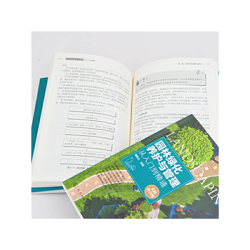 园林绿化养护与管理从入门到精通 赖松江 园林绿化工程施工技术书籍园林树木花卉水生植物栽植草坪园林竹类移植智慧园林绿化养护书 - 图0