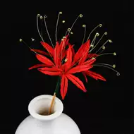 彼岸花古装 新人首单立减十元 21年8月 淘宝海外