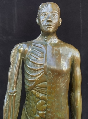 黄铜针灸人模铜人体经络图摆件中医药医馆诊所经络针灸穴位铜人