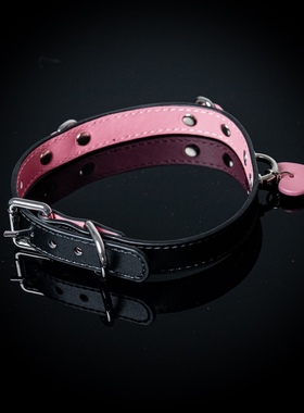项圈皮质M朋克锁骨链puppy颈带