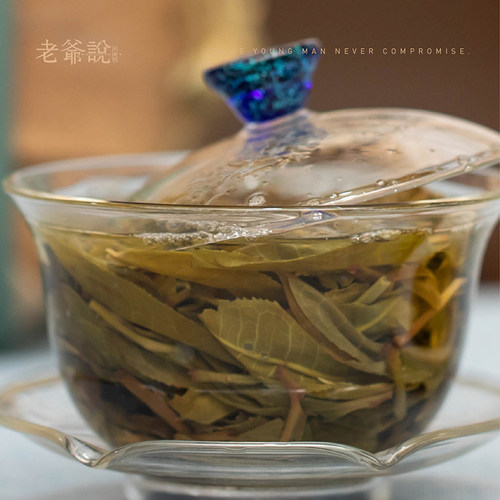 2021年老爷说不将就画骨勐库黑森林头春古树云南普洱茶生饼茶春茶 - 图2
