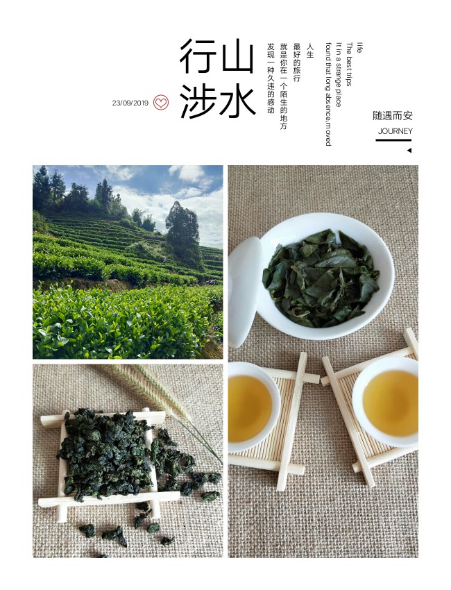 新茶银奖（福茶杯）永春佛手茶清香型100g试喝款乌龙茶类包邮-图3