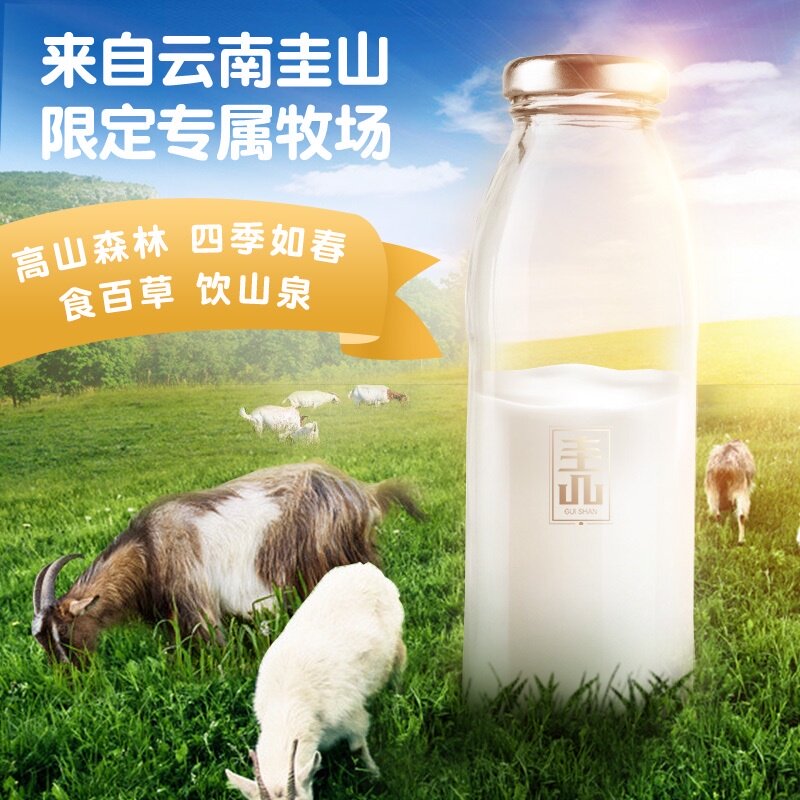 百年龙腾高钙成人孕妇圭山羊奶粉 咖天下食品成人奶粉