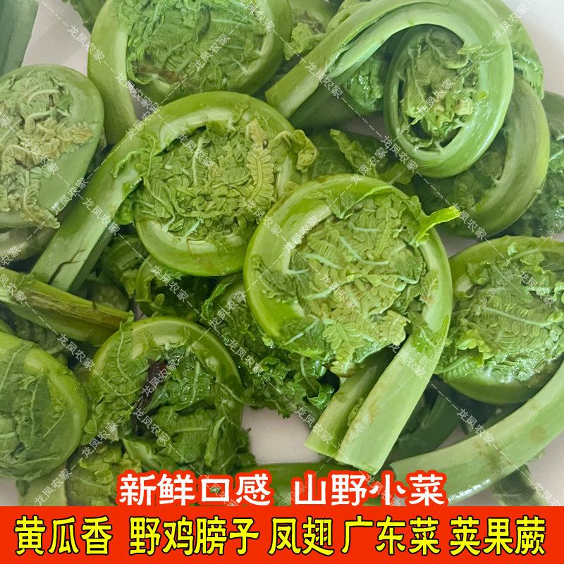 2斤含水黄瓜香野菜广东菜东北承德特产山野菜勾勾菜袋装商用家用,淘宝优惠券,粉丝福利购,淘宝优惠卷