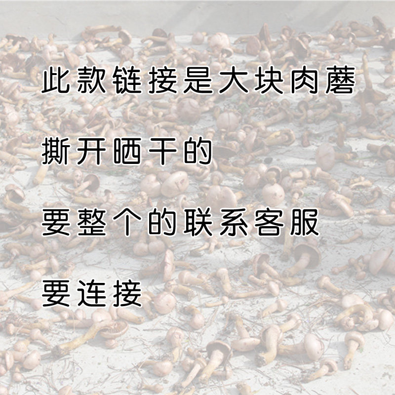 承德农家红肉蘑菇 食用菌红肉蘑菇松树伞蘑菇干货半斤/一斤包邮