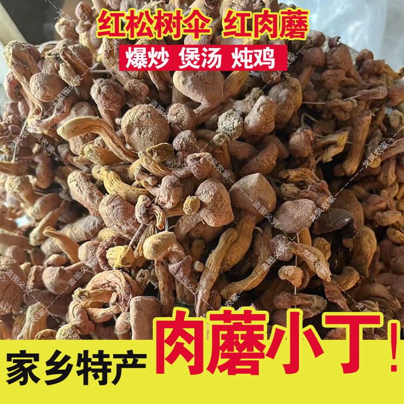 肉蘑丁 小个红肉蘑菇 承德肉蘑 红松树伞蘑菇食用菌干货炖炒煲汤