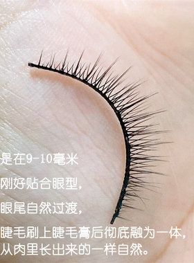 【假睫毛】自然仿真假睫毛短款