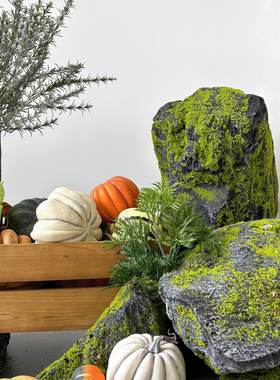 造景仿真青苔石橱窗生态雨林搭配