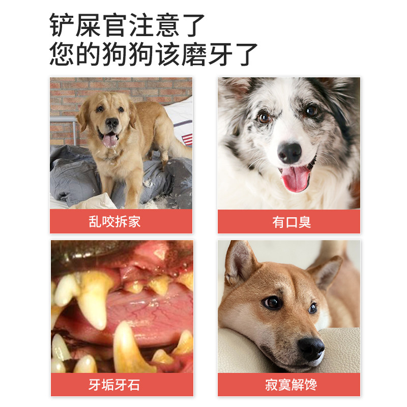 金毛狗狗磨牙棒中大型犬阿拉斯加德牧拉布拉多洁齿骨头宠物狗零食,淘宝优惠券,粉丝福利购,淘宝优惠卷