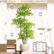 Simulated green plants, Nantianzhu indoor potted plants, large floor-standing ornaments, living room, light luxury, high-quality bionic plants, landscape