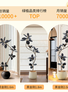 橡皮树黑金刚仿真绿植高端轻奢客厅办公室仿生植物盆栽摆件装饰树