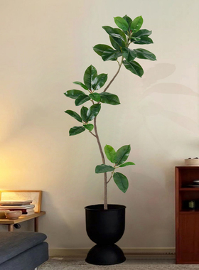 橡皮树仿真绿植橡高端轻奢植物
