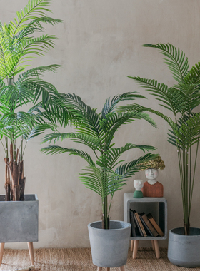仿真植物夏威夷葵大型绿植盆栽