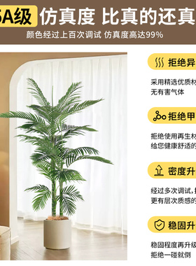 仿真绿植盆栽大型金棕榈盆栽摆件