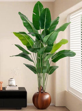 仿真绿植天堂鸟高端轻奢室内