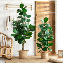 Nordic emulated plant cen leaf banyan large bionic false green plant indoor living room with floor decoration bonsai pendulum