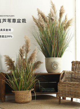 仿真植物芦苇草仿生绿植墙隔断