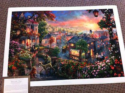 Framing tool bag with permanent detachable scraper imported