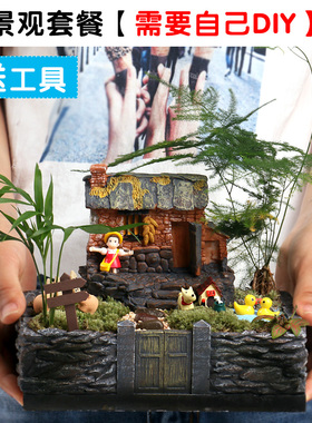 创意农家庭院房子龙猫家居绿植
