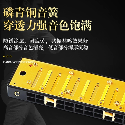 国光 Подлинный подлинный 24 Confucius Code 28 Hutching доверил выпускник профессиональной работы детей Qinqin