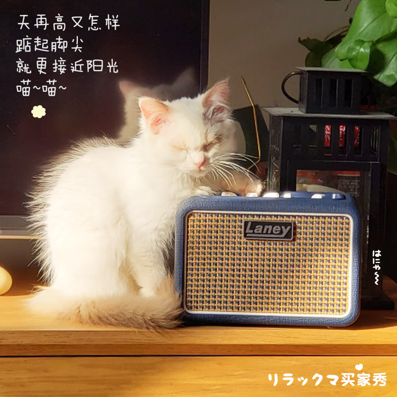 艺钛客乐器专营店兰尼电吉他音箱自带效果器贝斯迷你小音响便携式乐器专业多功能0