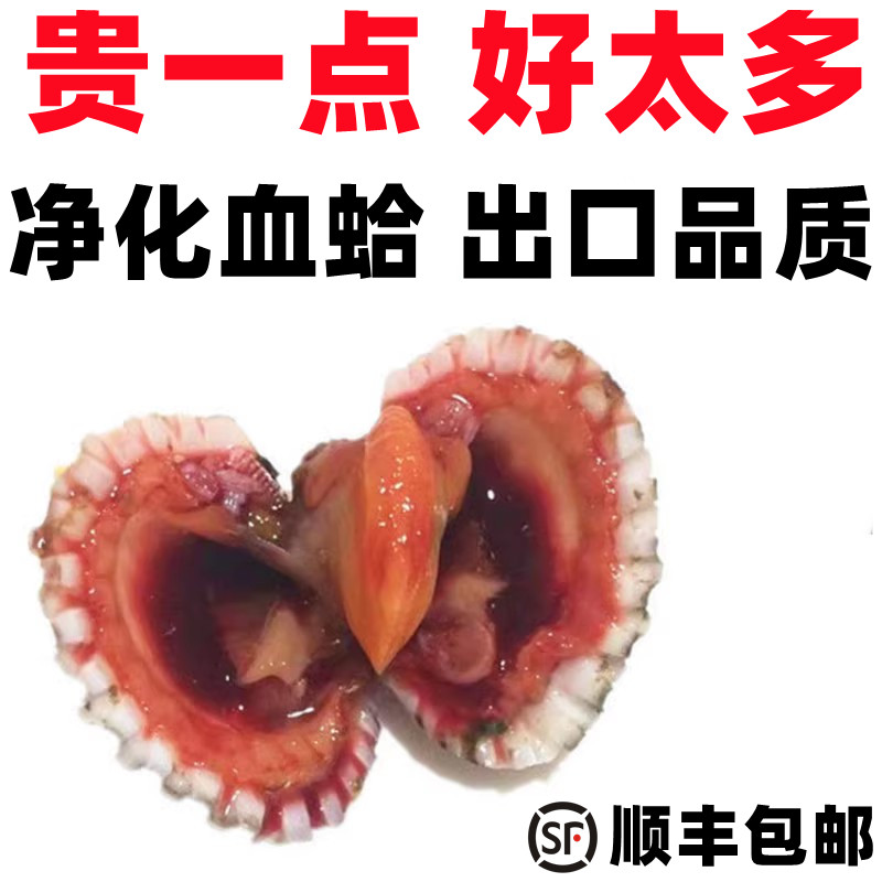 【高品质净化血蛤出口标准】潮汕生腌血蛤顺丰包邮包活三门温州 - 图1