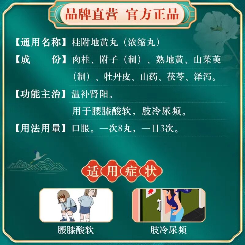 桂附地黄丸仲景浓缩丸肾虚小便多尿多怕冷肾阳虚阴阳两虚温阳补肾