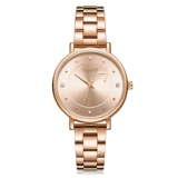 Брендовые швейцарские часы, официальный продукт, в корейском стиле, простой и элегантный дизайн