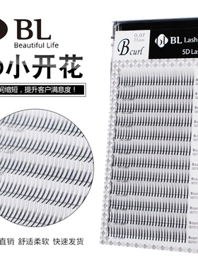 已开小花3D5D浓密嫁接睫毛朵毛