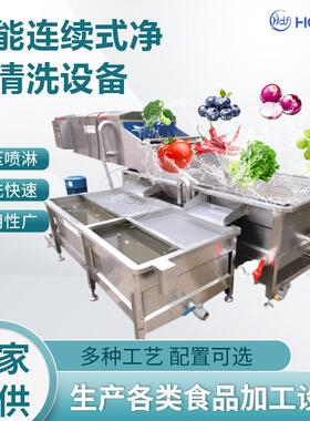 多功能果蔬清洗流水线 果蔬高压喷淋清洗机 全套净菜加工生产线