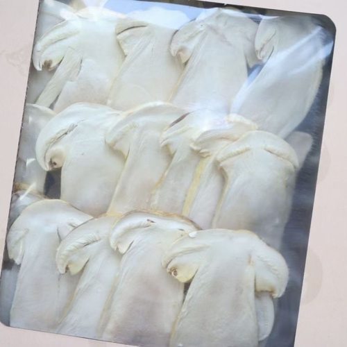 FD冻干松茸片20克松茸干货盒装礼盒装蘑菇云南特产煲汤食材 - 图1