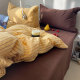 100% cotton color-friendly woven washed cotton three- or four-piece set