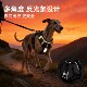 Large dog explosion-proof outdoor harness