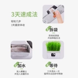 [Рекомендуется Xiaohongshu!】 Ленивые люди без земли