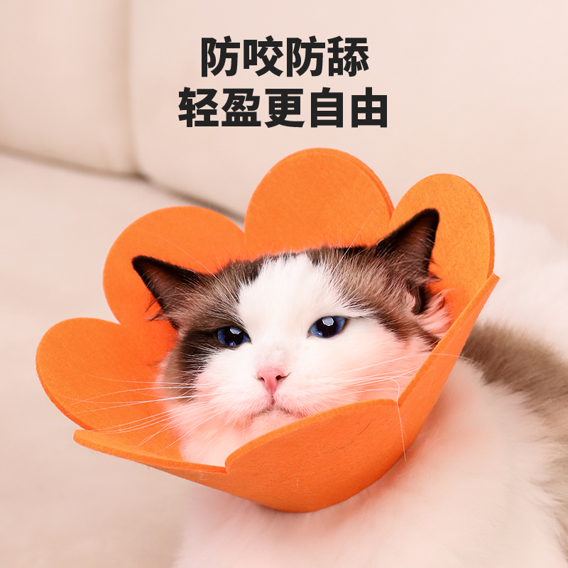 伊丽莎白圈猫绝育项圈猫咪头套防舔围脖伊莉莎白伊利沙白圈猫脖圈 - 图3