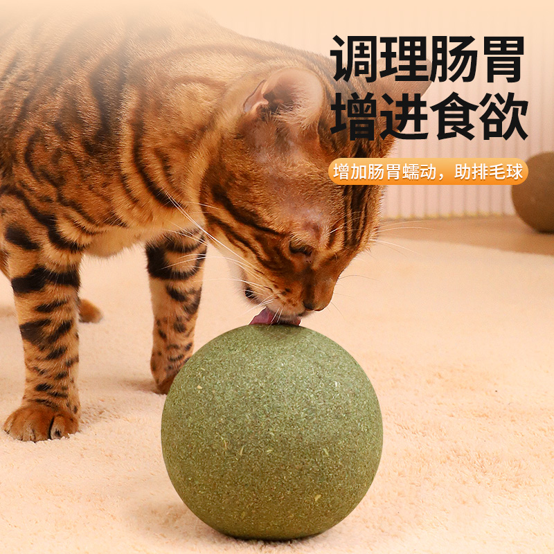 猫玩具超大猫薄荷球猫咪自嗨解闷神器猫猫小猫逗猫棒宠物用品磨牙-图3