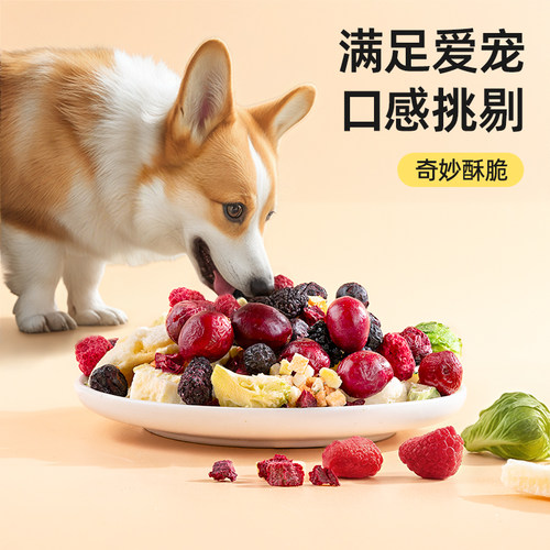 狗狗蔬菜冻干混合水果孢子甘蓝宠物水果小型犬幼犬训练奖励狗零食 - 图2
