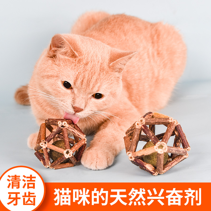 猫玩具磨牙棒木天蓼猫薄荷球喷雾棒棒糖逗猫棒小猫咪自嗨解闷神器 - 图0