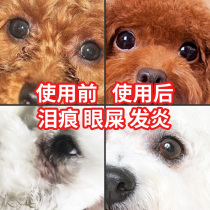 Kitty eye drops go to tears Divine Instrumental Pets Dogs Clean Eye Drops Cat Eye Medicine Washed Eye Shit Cleaning Supplies