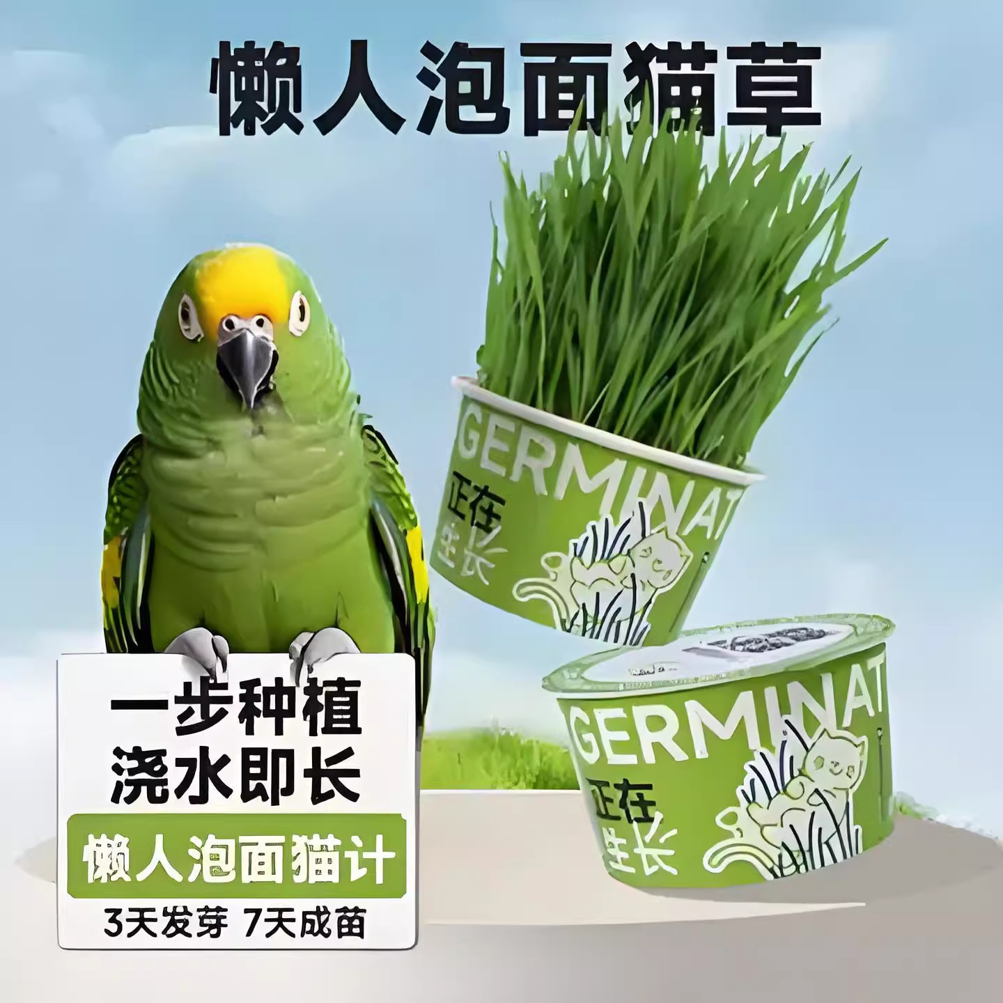 鹦鹉麦芽草粮大麦种子鹦鹉食用啃咬料鸟草盒零食消化解闷防啄毛饲,淘宝优惠券,粉丝福利购,淘宝优惠卷