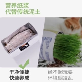 [Рекомендуется Xiaohongshu!】 Ленивые люди без земли