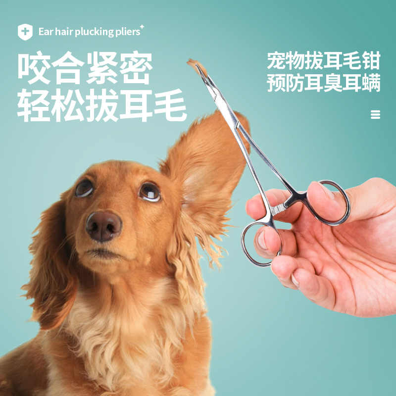 狗耳毛拔毛 新人首单立减十元 21年7月 淘宝海外