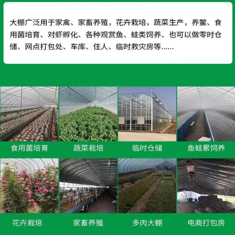 素菜大棚蔬菜大鹏全套塑料膜骨架钢管温室支架子育苗防风朋养殖鸡,淘宝优惠券,粉丝福利购,淘宝优惠卷