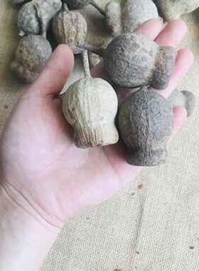 菩提挂件装饰吊坠diy材料干花